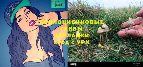 круглые Алексеевка