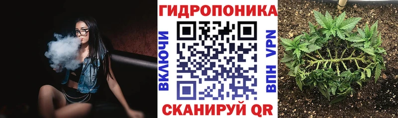 где найти наркотики  Апрелевка  Канабис индика 